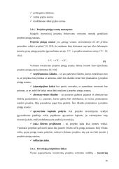 Investicinio projekto rengimas ir vertinimas 16 puslapis