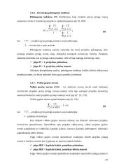 Investicinio projekto rengimas ir vertinimas 20 puslapis