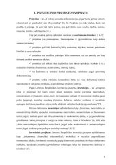 Investicinio projekto rengimas ir vertinimas 4 puslapis