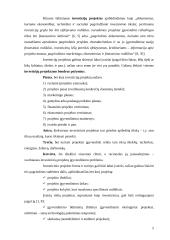 Investicinio projekto rengimas ir vertinimas 5 puslapis