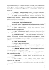 Investicinio projekto rengimas ir vertinimas 9 puslapis