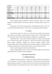 Investicinis projektas ir jo įvertinimas: automobilių švaros ir vidaus interjero priežiūros paslaugos 20 puslapis