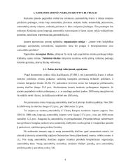 Investicinis projektas ir jo įvertinimas: automobilių švaros ir vidaus interjero priežiūros paslaugos 4 puslapis