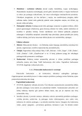 Investicinis projektas ir jo įvertinimas: automobilių švaros ir vidaus interjero priežiūros paslaugos 10 puslapis