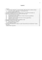 Investicinių projektų valdymas 2 puslapis