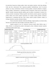 Investicinių projektų valdymas 11 puslapis