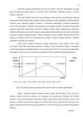 Investicinių projektų valdymas 13 puslapis