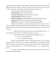 Investicinių projektų valdymas 15 puslapis