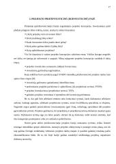 Investicinių projektų valdymas 17 puslapis