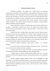 Investicinių projektų valdymas 18 puslapis