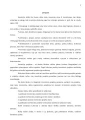 Investicinių projektų valdymas 3 puslapis