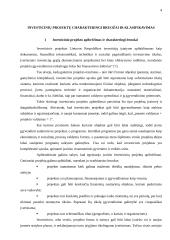 Investicinių projektų valdymas 4 puslapis