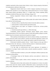 Investicinių projektų valdymas 7 puslapis