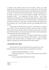 Irano branduolinės programos politiniai ir kariniai tikslai 10 puslapis
