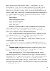 Išorinė ir vidinė organizacijos aplinka 18 puslapis