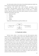 Išorinė ir vidinė organizacijos aplinka 20 puslapis