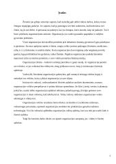 Išorinė ir vidinė organizacijos aplinka 3 puslapis