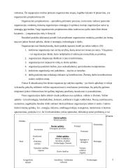 Išorinė ir vidinė organizacijos aplinka 5 puslapis