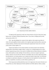 Išorinė ir vidinė organizacijos aplinka 7 puslapis