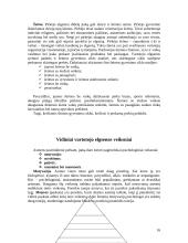 Išorinės aplinkos įtaka verslui 16 puslapis