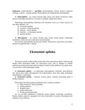 Išorinės aplinkos įtaka verslui 6 puslapis