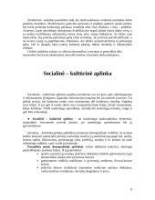 Išorinės aplinkos įtaka verslui 8 puslapis