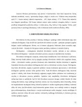 Išteklių pasiskirstymas žemės ūkyje 11 puslapis