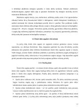 Išteklių pasiskirstymas žemės ūkyje 16 puslapis