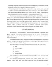 Išteklių pasiskirstymas žemės ūkyje 17 puslapis