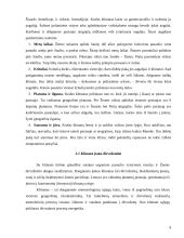 Išteklių pasiskirstymas žemės ūkyje 8 puslapis