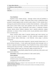 Įtarimą keliančių subjektų išskyrimas (profiliavimas, rizikos analizė) prieš asmens pasienio patikrinimą 2 puslapis