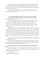 Įtarimą keliančių subjektų išskyrimas (profiliavimas, rizikos analizė) prieš asmens pasienio patikrinimą 12 puslapis