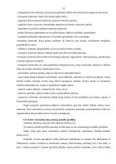 Įtarimą keliančių subjektų išskyrimas (profiliavimas, rizikos analizė) prieš asmens pasienio patikrinimą 13 puslapis