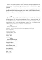 Įtarimą keliančių subjektų išskyrimas (profiliavimas, rizikos analizė) prieš asmens pasienio patikrinimą 18 puslapis