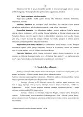 Įtarimą keliančių subjektų išskyrimas (profiliavimas, rizikos analizė) prieš asmens pasienio patikrinimą 20 puslapis