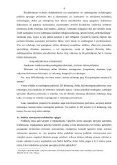 Įtarimą keliančių subjektų išskyrimas (profiliavimas, rizikos analizė) prieš asmens pasienio patikrinimą 4 puslapis