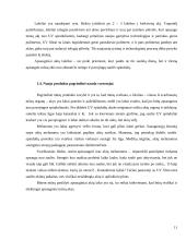 Įvedimo į rinką marketingo programa: apsauginių akių lašai "Gaiva" 11 puslapis