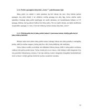 Įvedimo į rinką marketingo programa: apsauginių akių lašai "Gaiva" 16 puslapis