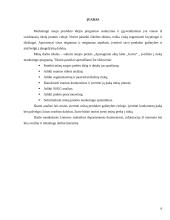 Įvedimo į rinką marketingo programa: apsauginių akių lašai "Gaiva" 6 puslapis