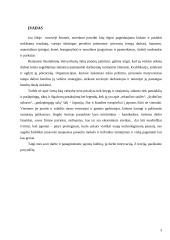 Japoniškoji motyvacinė sistema 2 puslapis