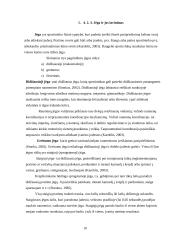 Jaunųjų krepšininkų sportinio rengimo ypatumai 9 puslapis