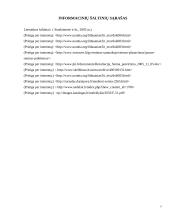 Jaunuolių požiūris į santuoką ir šeimą 17 puslapis