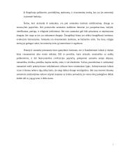 Jaunuolių požiūris į santuoką ir šeimą 5 puslapis