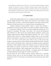 Jaunuolių požiūris į santuoką ir šeimą 7 puslapis