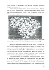 Kaimo turizmo organizavimo prielaidos ir būklė Lietuvoje 11 puslapis