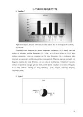 Kaimo turizmo organizavimo prielaidos ir būklė Lietuvoje 20 puslapis
