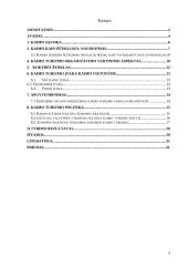 Kaimo turizmo organizavimo prielaidos ir būklė Lietuvoje 3 puslapis