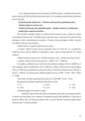 Kapitalo biudžetas ir jo valdymas 17 puslapis