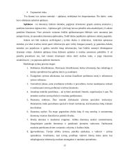 Kauno teritorinės statistikos valdybos rinkodaros planas 13 puslapis