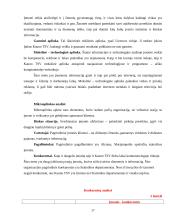 Kauno teritorinės statistikos valdybos rinkodaros planas 17 puslapis